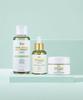 Thinko Pure Bifida 99% Perfect Toner/Ampoule/Cream 3-Piece Skincare Set