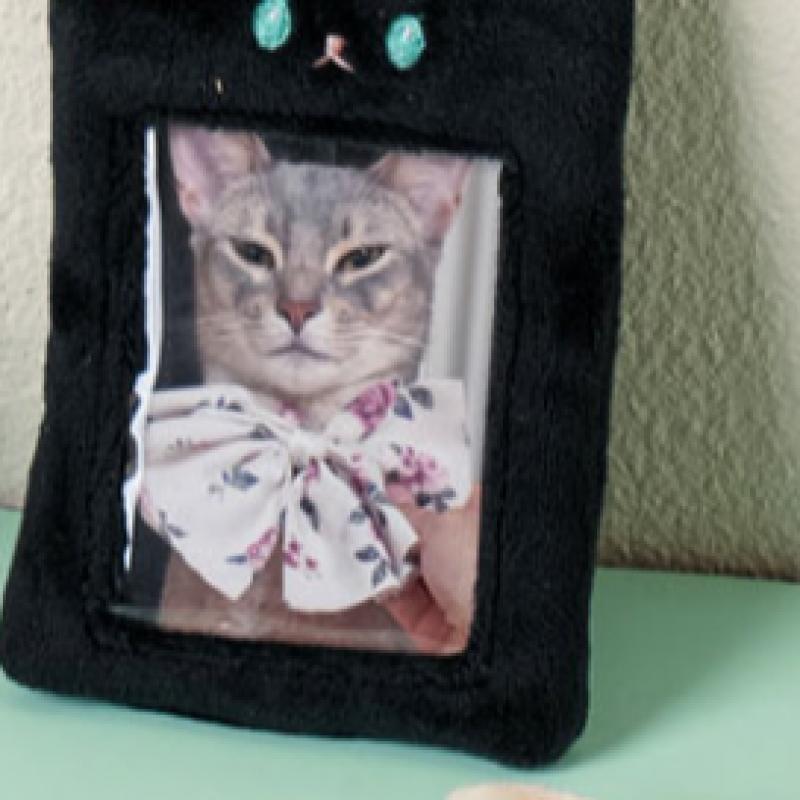 Daiso Soft Character Card Case