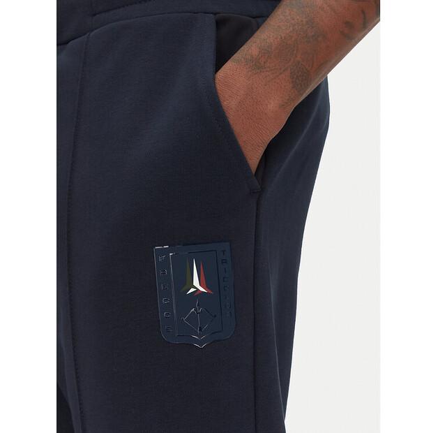 Спортивные шорты Aeronautica Militare 251BF020F584