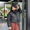 Winter Women's Clothes Cropped Jackets Parkas Warm Stand Collar Cold Coat Zipper Puffer Jacket Cotton-padded Jacket