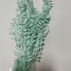 Rich Noble Leaf Dried Panda Bamboo Flowers - Photography Props for Weddings, Living Room, or Hotel Decorations