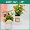 Camellia Sasanqua Floral Pot Potted Plant For Wedding Table And Green Space