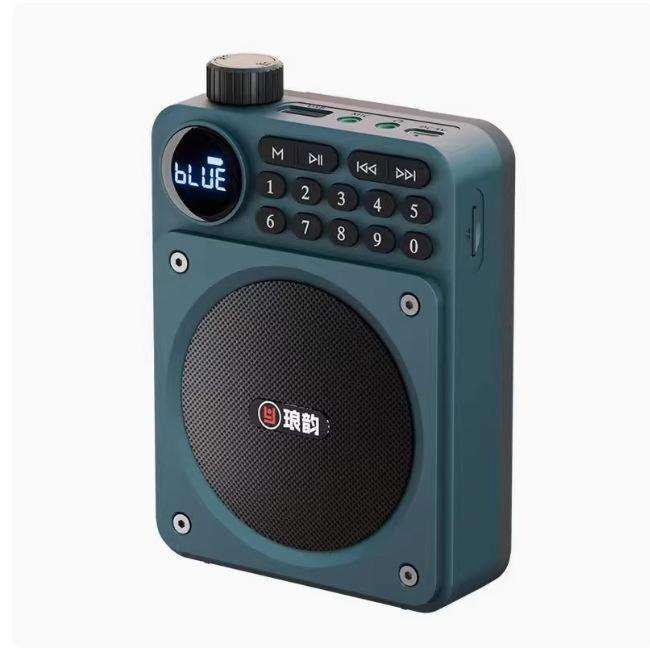 Mini Digital FM Radio HD Display 76-108mhz Radios Wireless Bluetooth 5.3 Speaker Portable Voice Amplifier with TF Card USB Slot