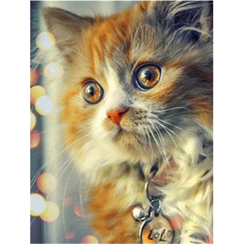 Көптеген сперматозоидтары бар қынаптағы шәует Секс туралы бейне