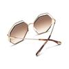 Occhiali da Sole Metallo Montatura Intera Forma Irregolare Unisex CH0046S
