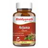 Ayurved Arjuna Tablet 60 Herbal Wellness Supplement Natural Arjuna Bark Extract Ayurvedic Tablets