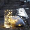 New European And American Hot Selling- 1m 10 Lamp CR2032 Button Battery Box Copper Wire Lamp String LED Waterproof Holiday Decoration