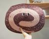 40cm Creative Cartoon Cake Bread Plush Toys Stuffed Cute Swiss Roll Food Snack Decoration Birthday Party Gift Home Decoration