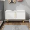 White Light Luxury Shoe Cabinets Minimalist Metal Shoe Rack Sitting Shoe Changing Stool Shoes Organizer Space Saving Furniture