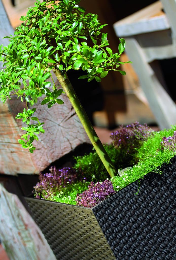 RATO Low Flowerpot DRTS265L with Insert | Anthracite