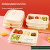 ZISIZ Biodegradable Disposable Food Container