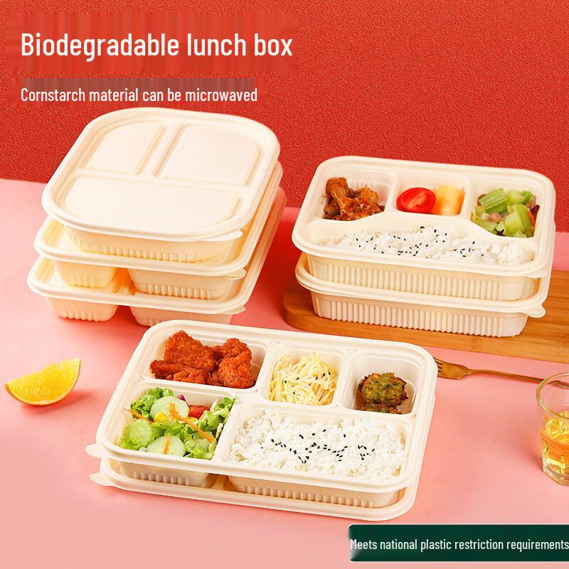 ZISIZ Biodegradable Disposable Food Container
