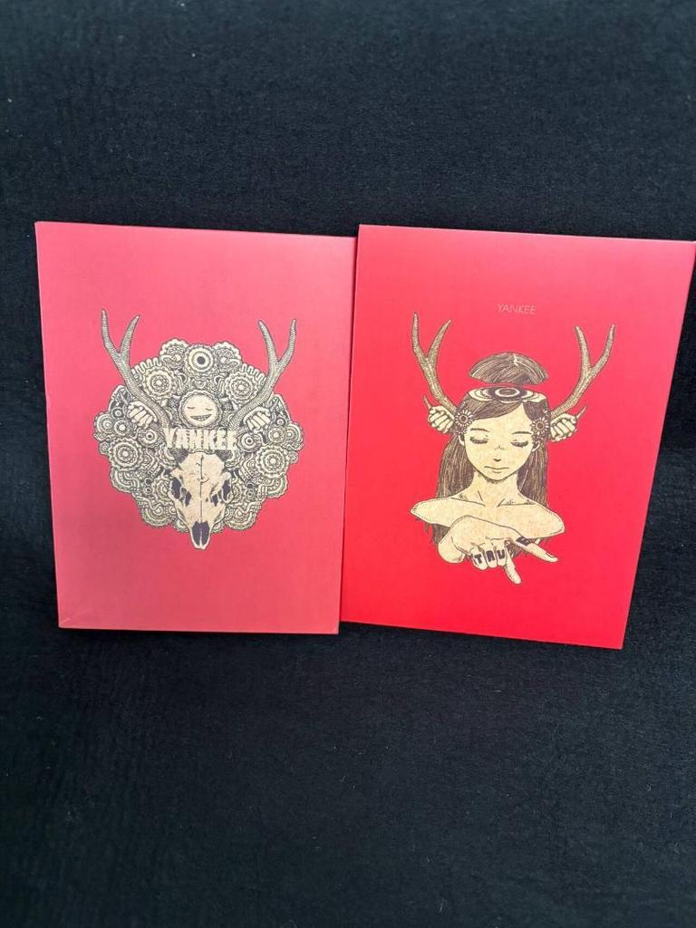 [USED] Kenshi Yonezu YANKEE Artbook CD First Press Limited Edition