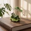 Decorative Ceramic Laying Frog Statue Lotus Leaf Home Ornaments Desktop Decoration Attract Wealth Funny Frog Car Decor Office