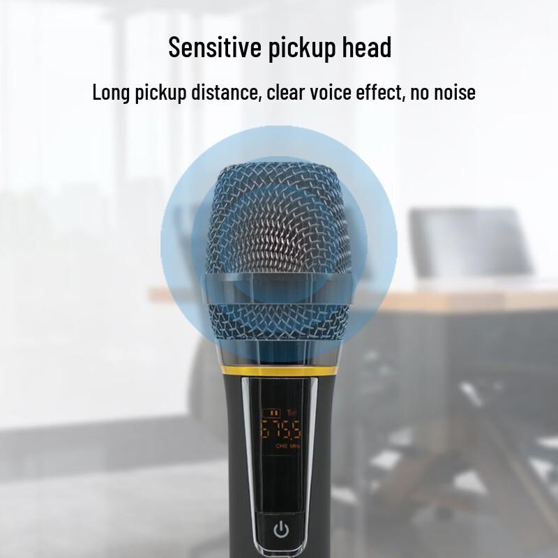 Gmtd GM-S301 Wireless USB Microphone System