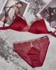 Hot Sale Sexy Thin Satin Splicing Lace Bra Big Breast Small Rim Free Bra Underwear Set