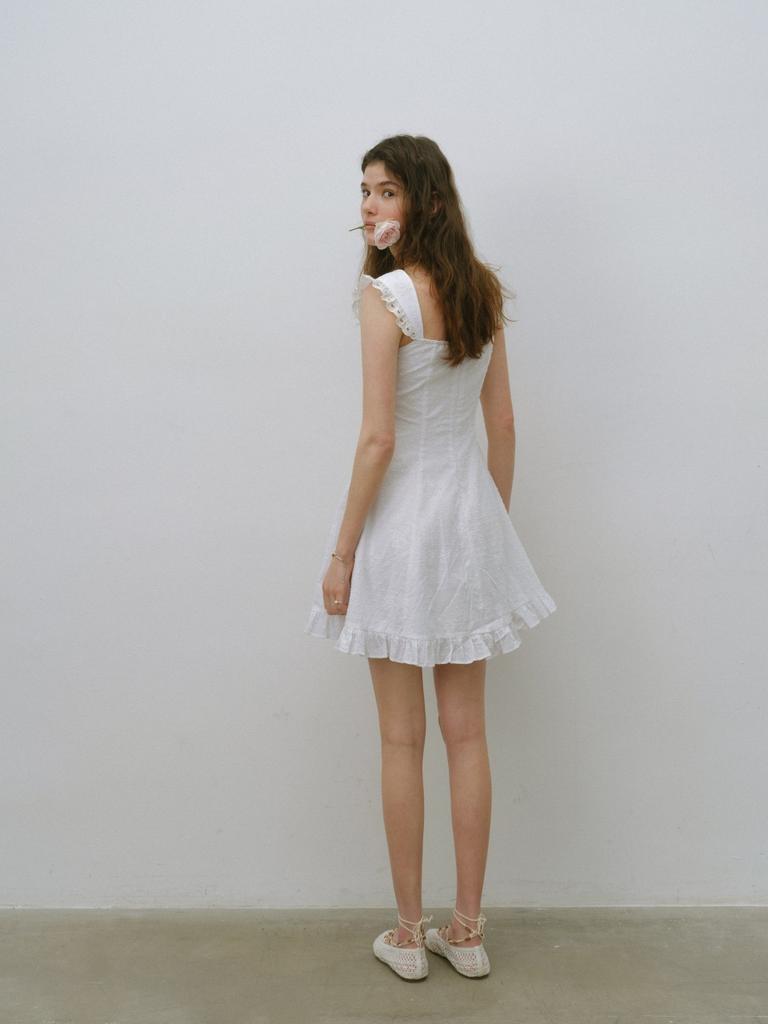 Sinseuden French Embroidered Mini Dress