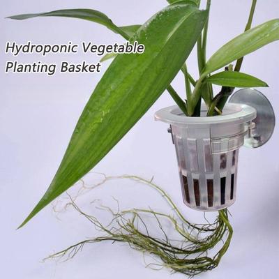 Tuinpotten en -dozen – Kweekcontainers