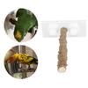 25CM Parrots Outdoor Portable Wood Standing Rod Pet Bird Shower Perch with Suction Cup