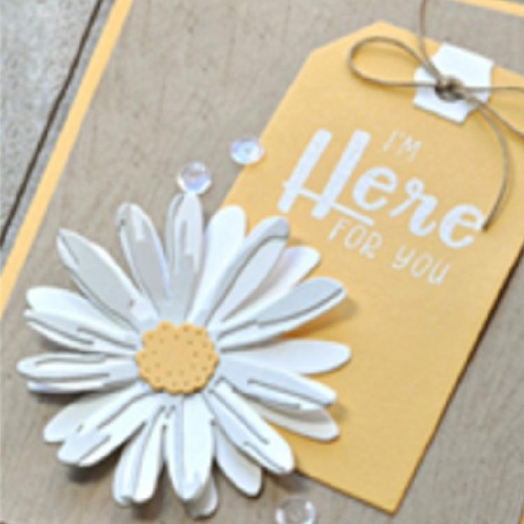 Květina Sedmikráska Řezací formičky Květina Chrysantéma Kovová vykrajovátka pro DIY Scrapbooking Foto