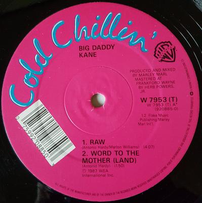 12inch Record BIG DADDY KANE - Raw / Word To The Mother (Land) W7953T Cold Chillin' 1988 UK Rap & Hip-Hop/R&B Used