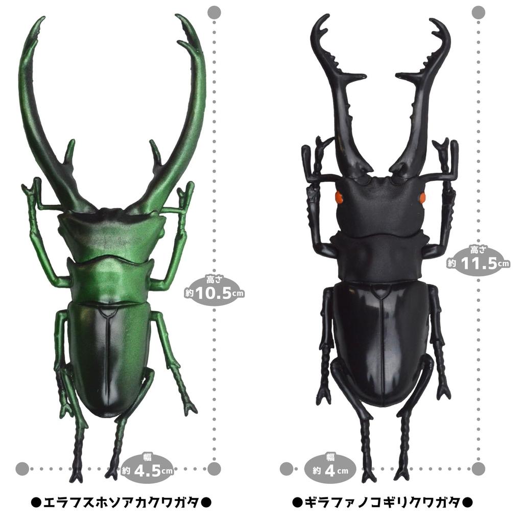 The Access Figure Stag Beetle 3D Picture Book Animal Insect Toy