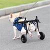 Hundewagen für Hinterbeine – Verstellbare Mobilitätshilfe für kleine Hunde, Hüftstütze & Beinschiene, Gehhilfe für behinderte Haustiere (XS/S/M)