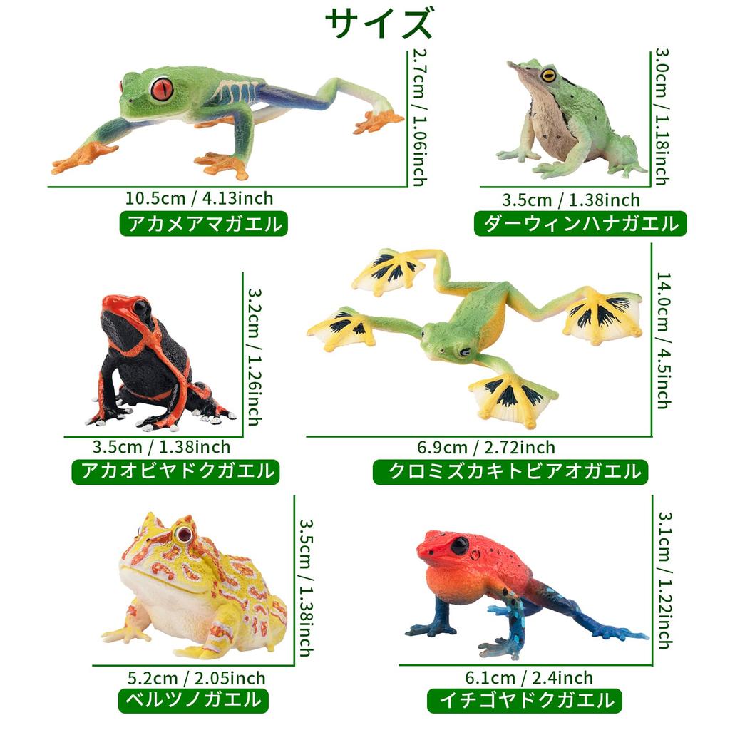 TOYMANY 12-Piece Frog Figure Set, Realistic Frog Model Figurines, Perfect for Birthdays, Christmas, New Years, Halloween, and More, Ages 6 and Up