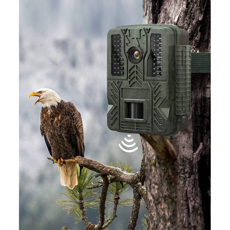 Bluetooth-compaible Wifi 4k Hd Trail Camera Outdoor Ip67 Waterproof Infrared Induction Tracking