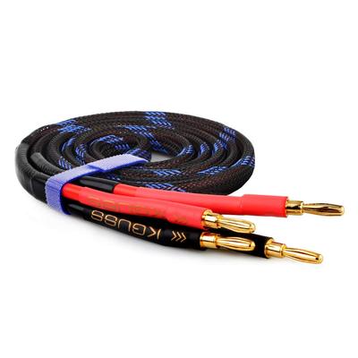 Acessórios para áudio e vídeo – Cabos de áudio