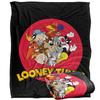 Looney Tunes Group Shot Blanket