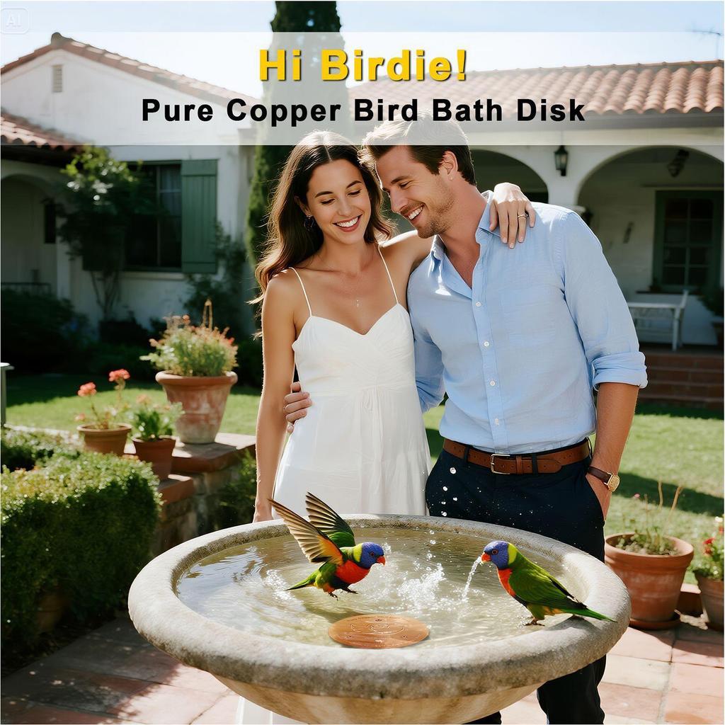 2pcs Copper Bird Bath Cleaning Disk, 0.6mm Pure Copper with Triple-Point Support, Universal Fit for Outdoor Birdbaths