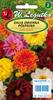Legutko Variable Dahlia Unwins Dwarf Mix 1G Seeds