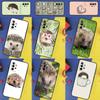 Hedgehog For Samsung Galaxy A16 A26 A36 A56 A13 A33 A53 A05 A06 A54 A34 A14 A32 A52 A55 A35 A15 Case