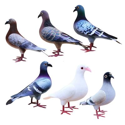 Légère Variation de Lot Pigeon Réaliste Pigeon en Mousse Apparence Réaliste