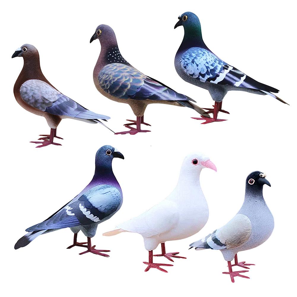 Légère Variation de Lot Pigeon Réaliste Pigeon en Mousse Apparence Réaliste
