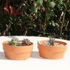 Plant Pot/Tray with Drainage Holes Imitation Ceramic Pot/Plate Gardening Supply