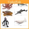 Modelo de PVC de Animal Marinho com Design Realista para Educação e Coleção