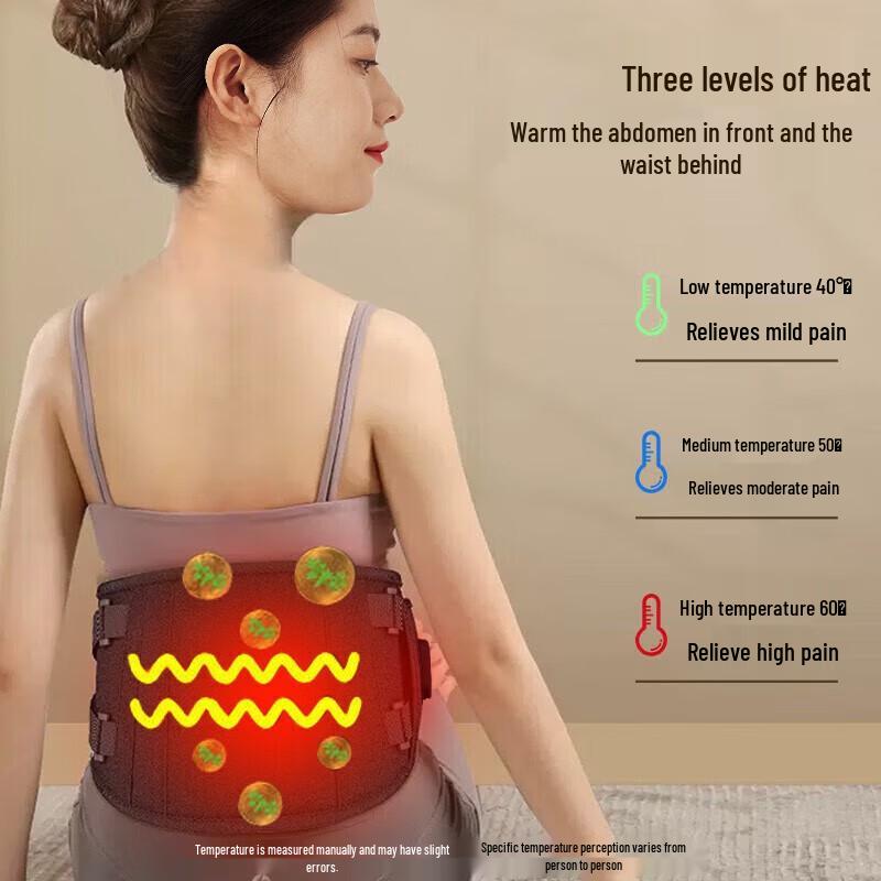 AUX Heated Lumbar Massager with Vibration