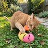 Treat Dispenser Cat Chew Toy Bite-resistant Interactive Cat Toy Leak Food Cat Toy  Dental Health