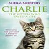 Charlie the Kitten Who Saved A Life by Sheila Norton Paperback Book 9781785034190