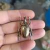 5pcs Solid Brass Realistic Beetle Tea Pet Antique Insect Figurine For Tea Ceremony Table Decor Home Display Gift For Collectors