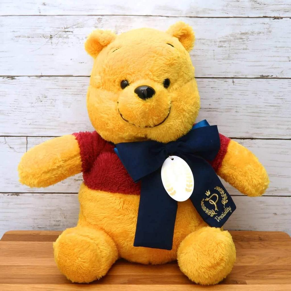 Sega Winnie the Pooh Plush Toy, Preciality Special Plush Toy, Big, Approx. 30cm