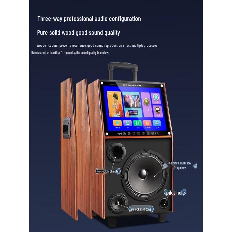 KONKA D160 Portable Outdoor Karaoke Speaker