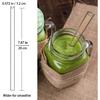 Reble Glass Straws 10-Pack Drinking Straw 4 Bent + 4 Straight + 2 Wider Smoothie Straws with 2 Cleaning Brushes