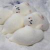 Squishy Cute Seal Squeeze Stress Relief Toy Soft Mochi Toy Cartoon Slow Rebound Decompression Fidget Toys For Kids Gifts