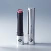 Dinto Overload Lip Glaze 8 shades