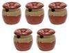 Set of 5 Mini Red and White Condiment Containers Diameter X 110cc Capacity Up To the Made In [7cm 6.5cm Height, Cut, Japan]