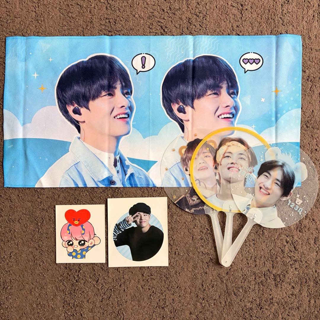 [USED] BTS V slogan fan