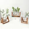 Lot de 1, 2 ou 3 terrariums pour plantes avec support en bois, vase en verre transparent, centre de table, support de fleurs hydroponique, décoration de conteneurs pour plantes